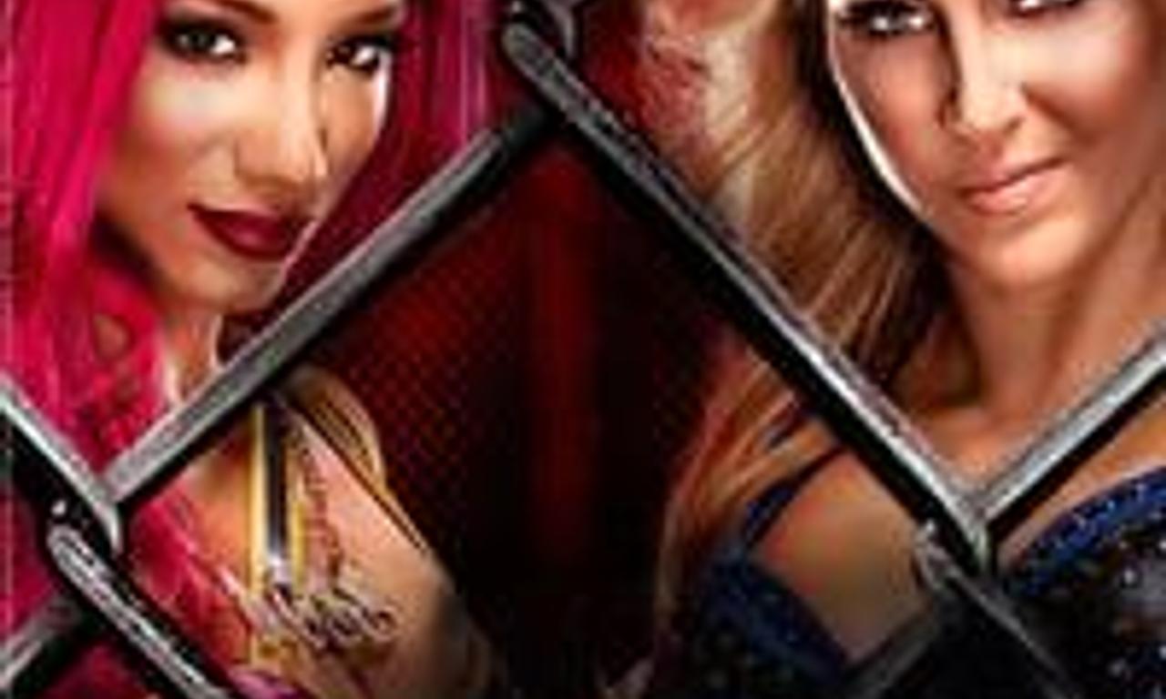 header image for WWE Hell in a Cell 2016