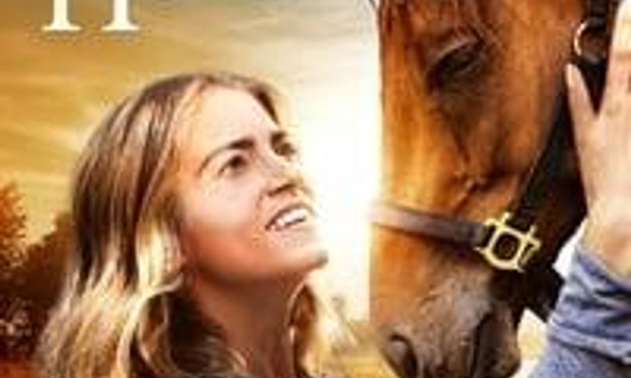 header image for A Sunday Horse