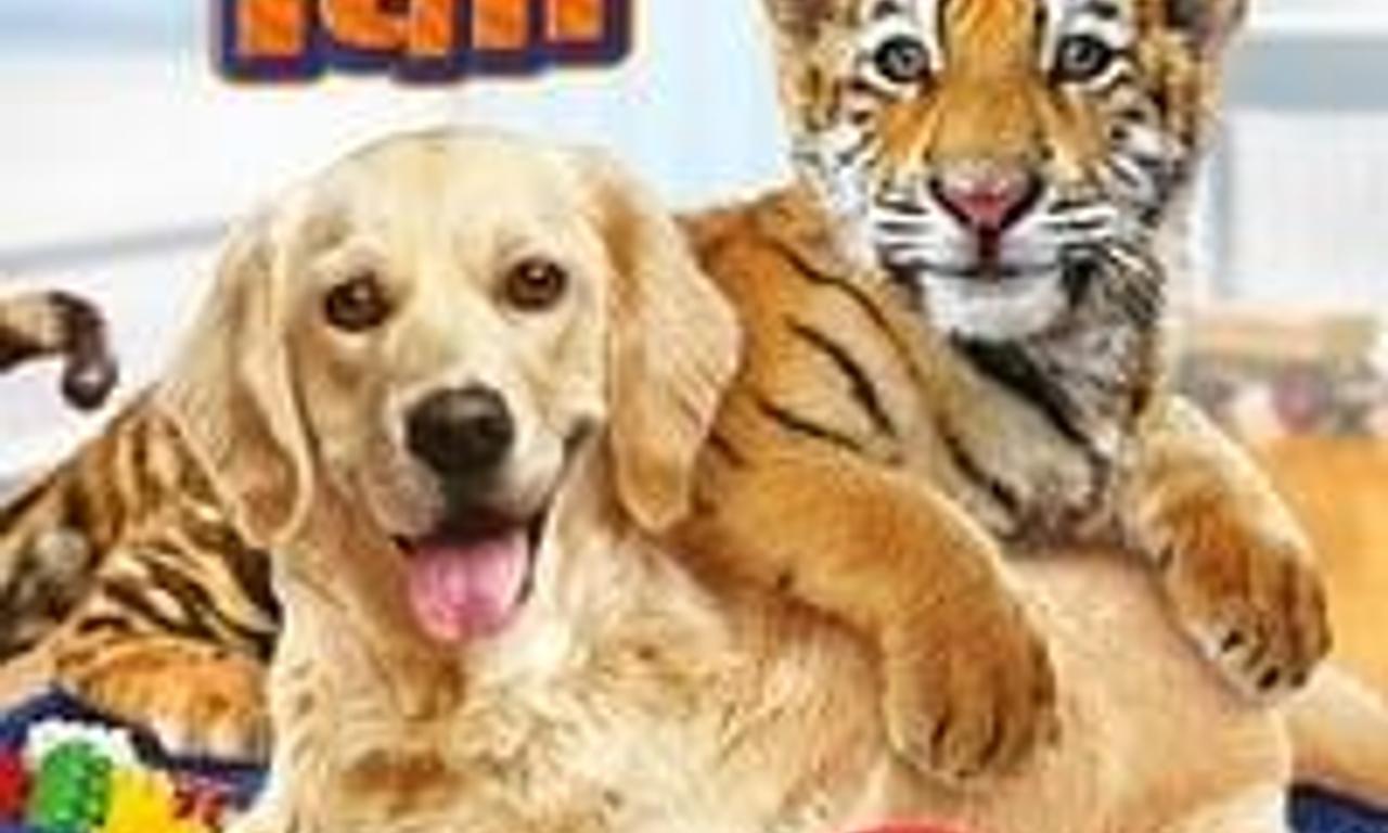 Tiger Orange streaming: where to watch movie online?