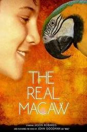 The Real Macaw