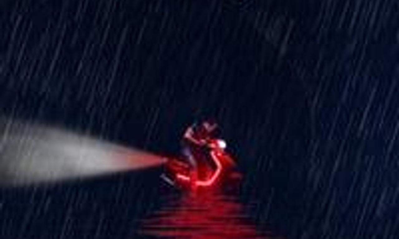 header image for The Wild Goose Lake