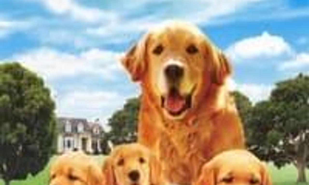 header image for The Retrievers