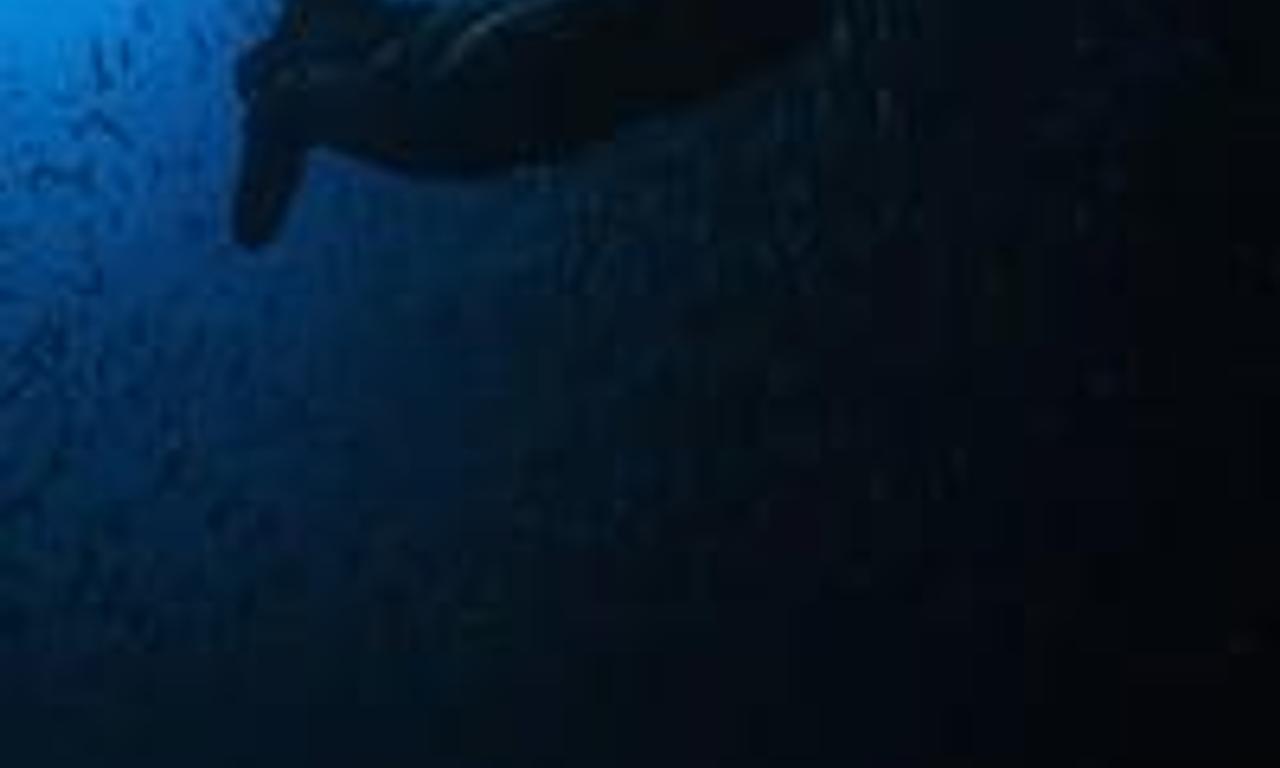 header image for Earth Live