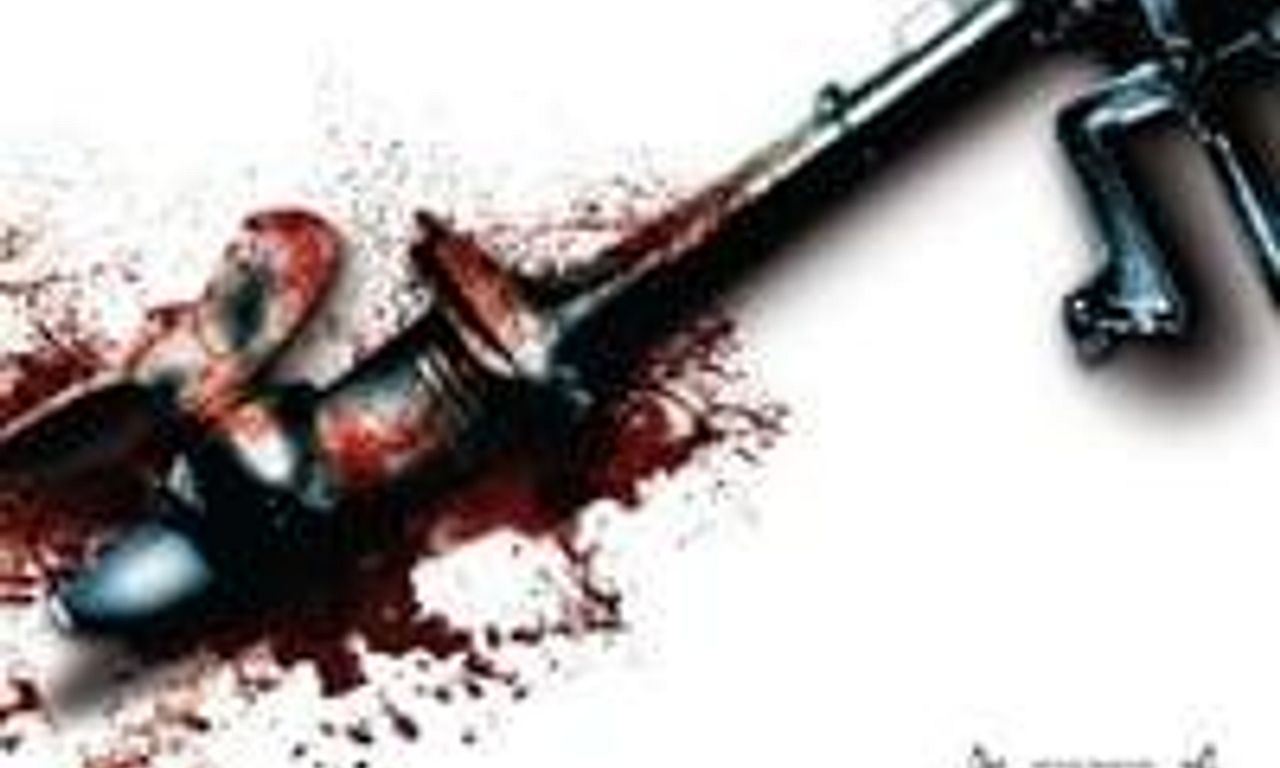 header image for Donkey Punch