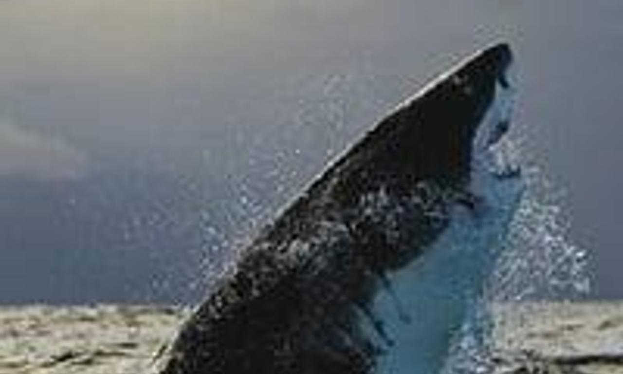 header image for Anthony Jeselnik: Caligula