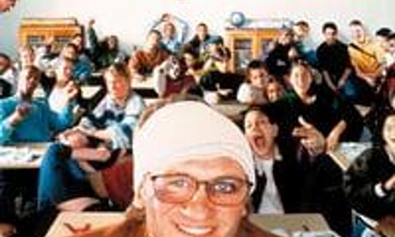 header image for The Best Job in the World