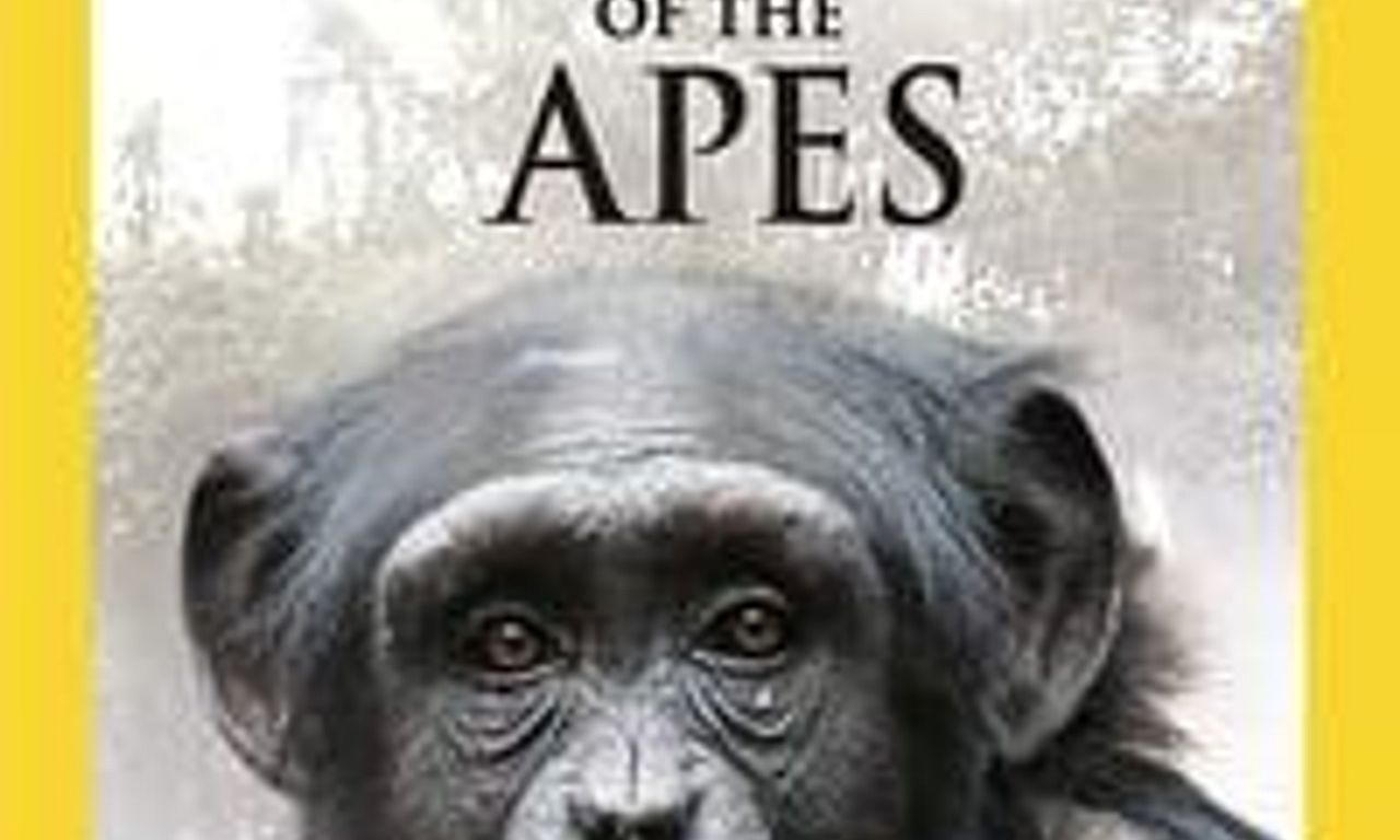 header image for Kingdom of the Apes: Battle Lines