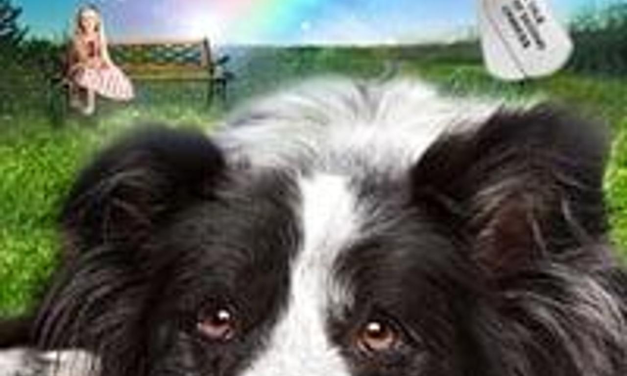 header image for A Dog Named Duke