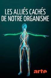 Fascinating Fasciae: The Hidden World Under Our Skin