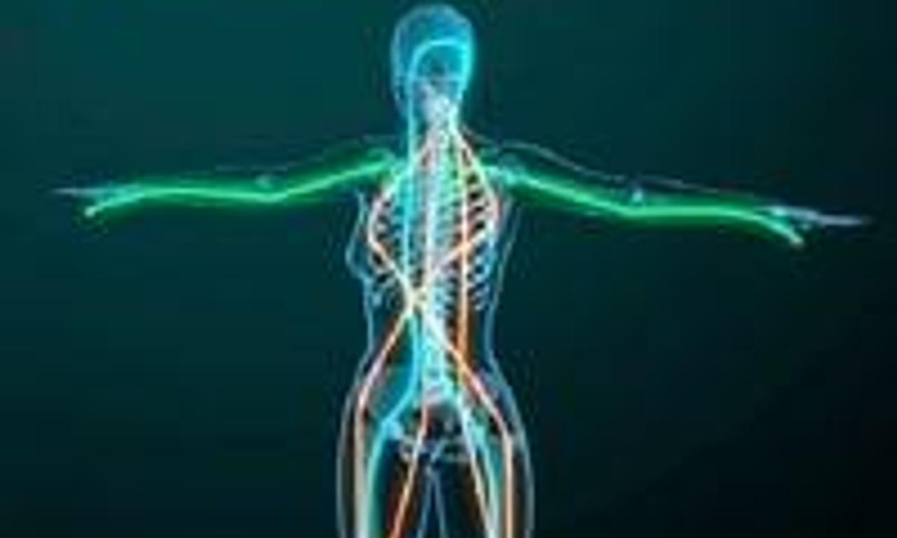 header image for Fascinating Fasciae: The Hidden World Under Our Skin