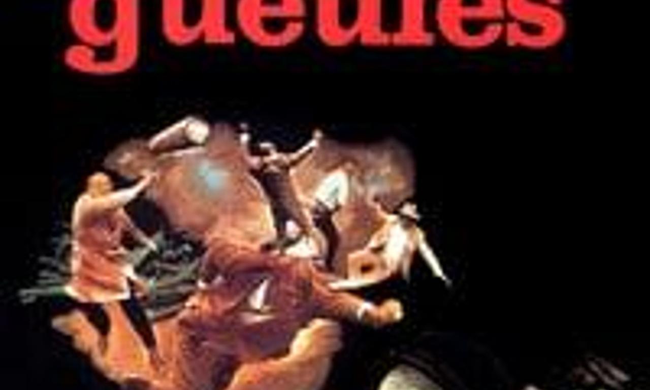 header image for The Wise Guys