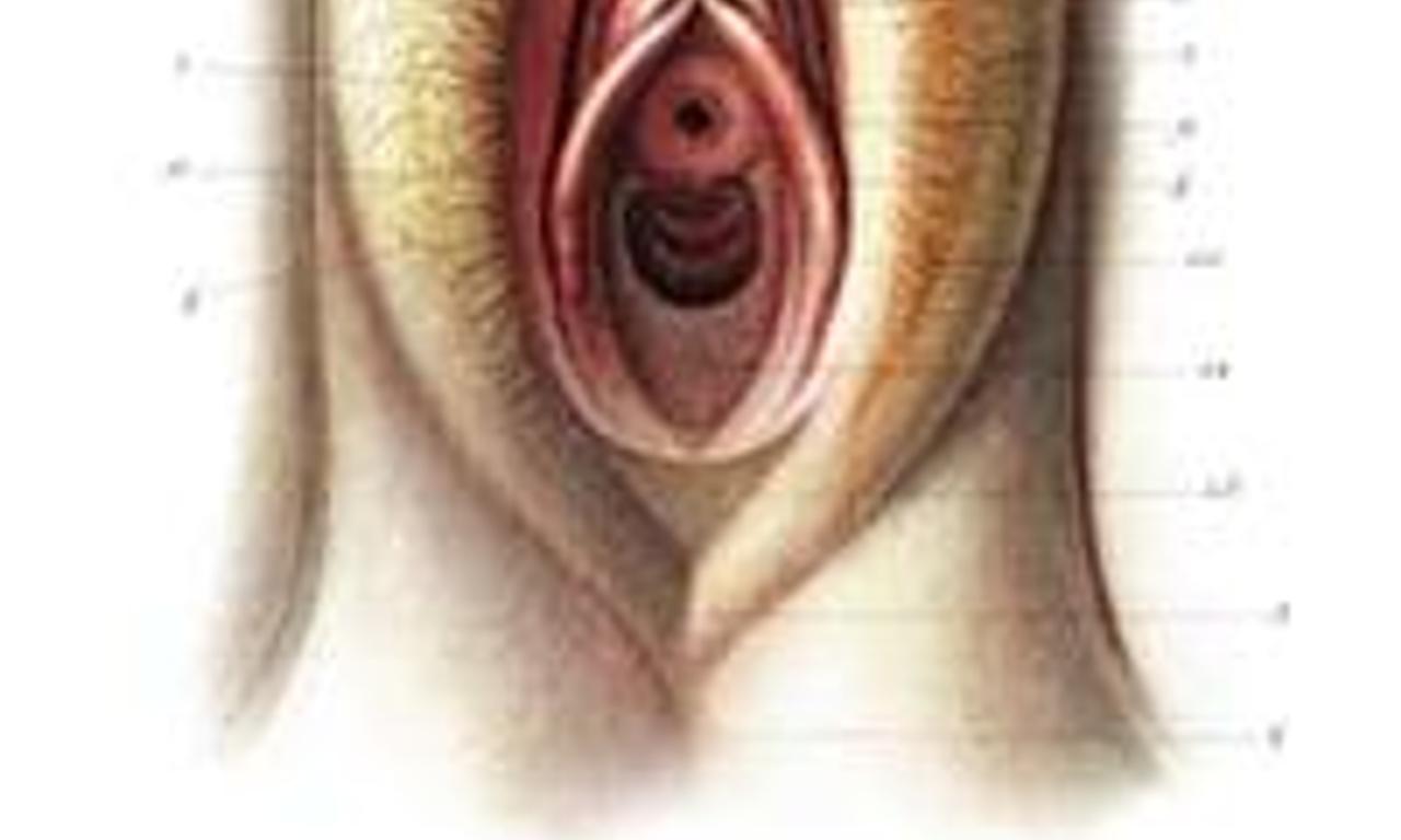 header image for Devil Between the Legs