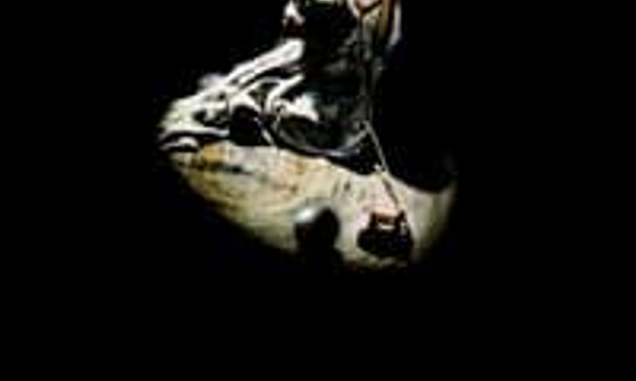 header image for Poltergeist II: The Other Side