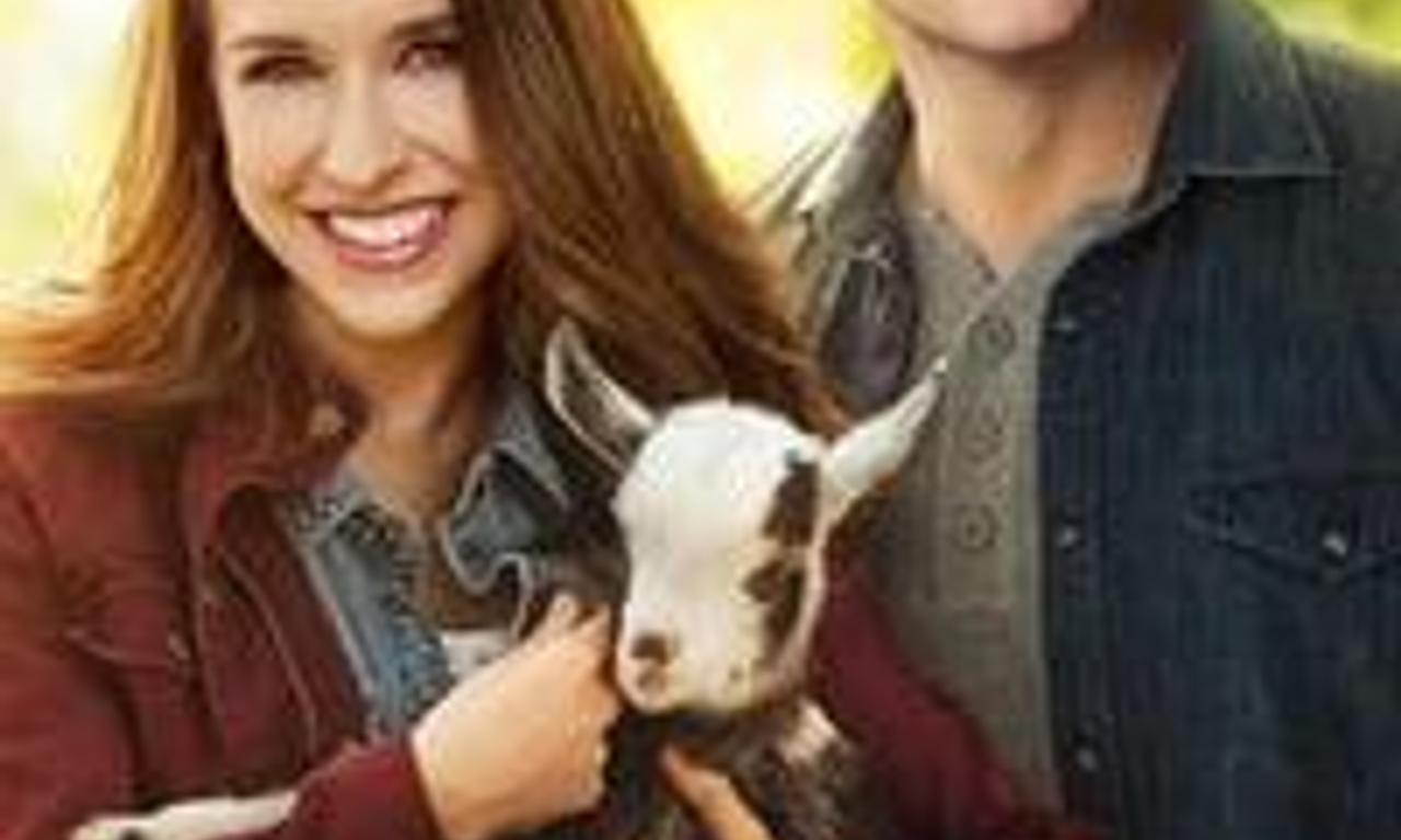 header image for All of My Heart: Inn Love