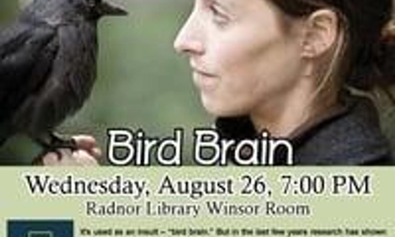 header image for Bird Brain