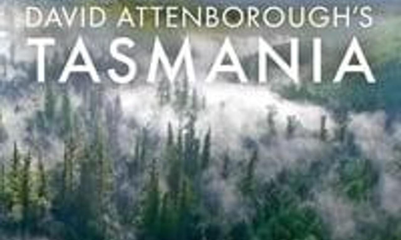 header image for David Attenborough's Tasmania