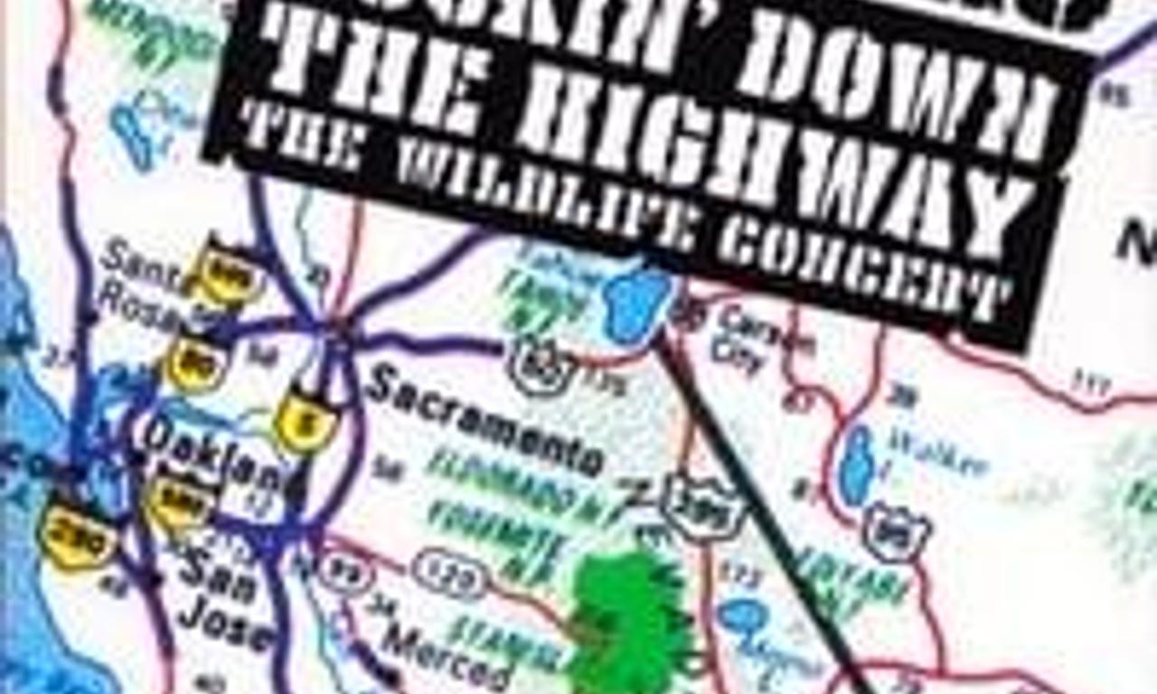 header image for The Doobie Brothers: Rockin Down the Highway - The Wildlife Concert