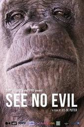 See No Evil