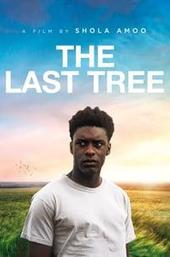 The Last Tree