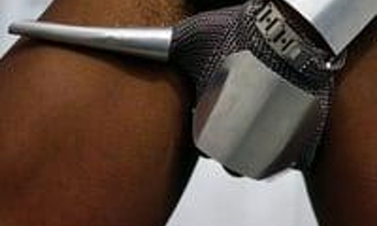 header image for Bixa Travesty