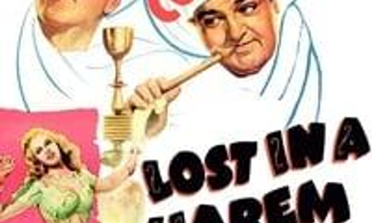 header image for Lost in a Harem