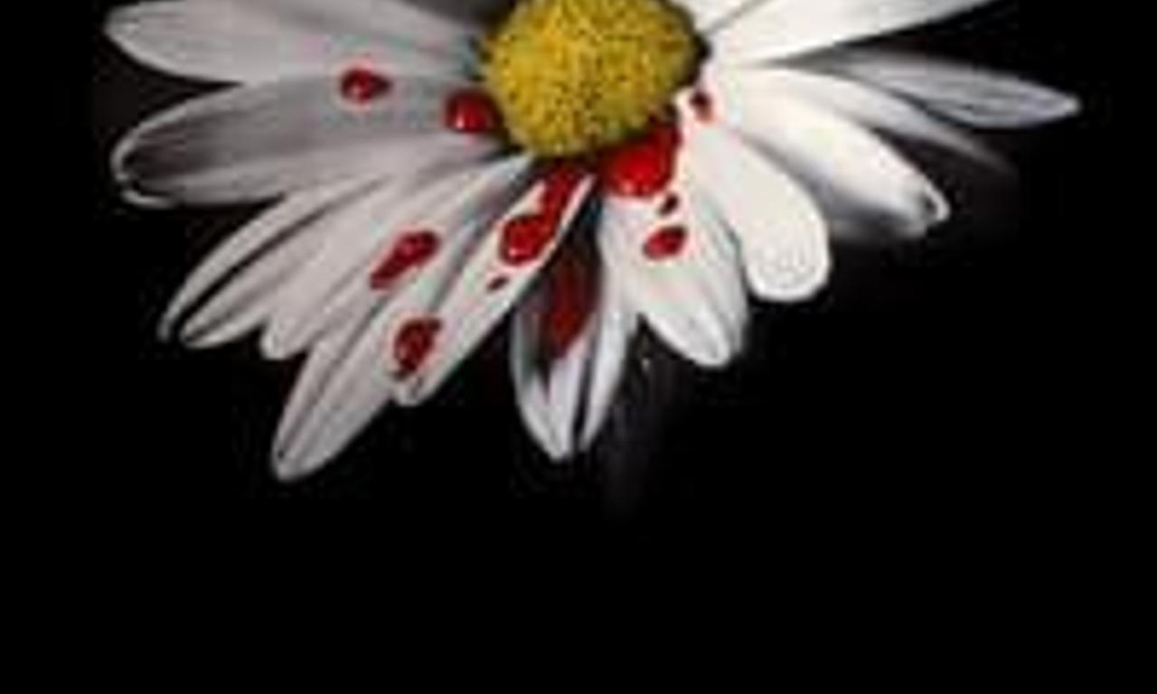 header image for Valerie and Her Week of Wonders