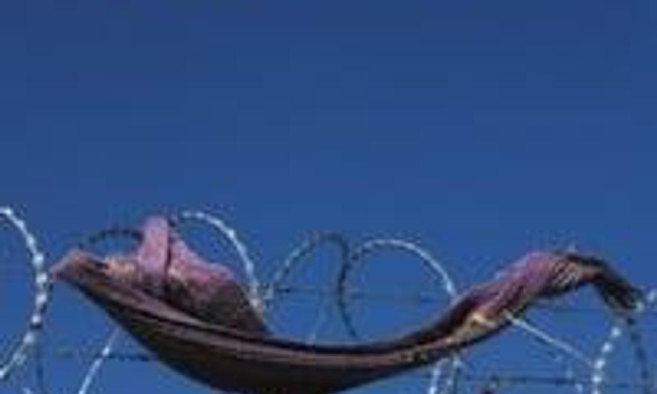 header image for Look Away