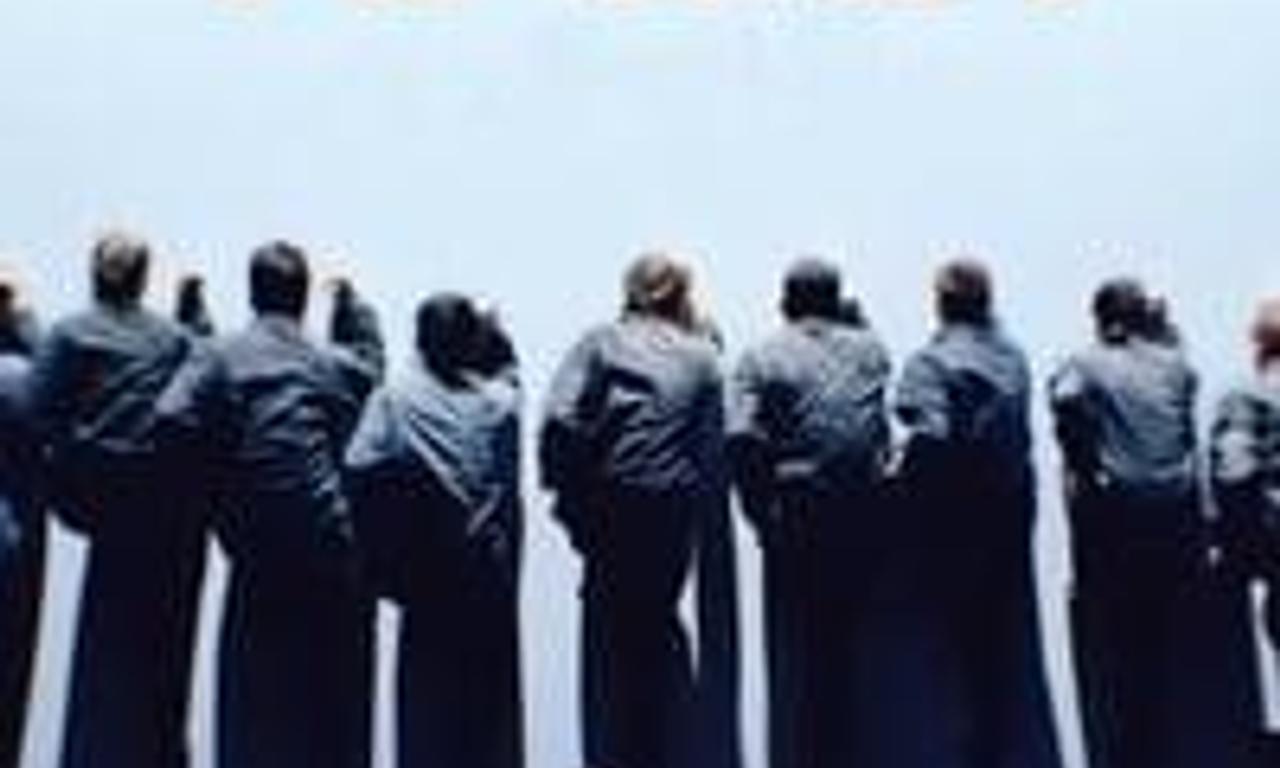 header image for Anima