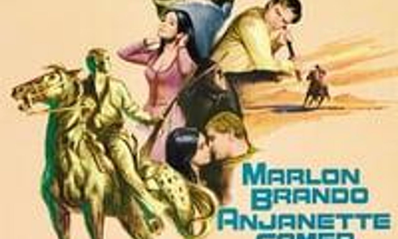 header image for The Appaloosa