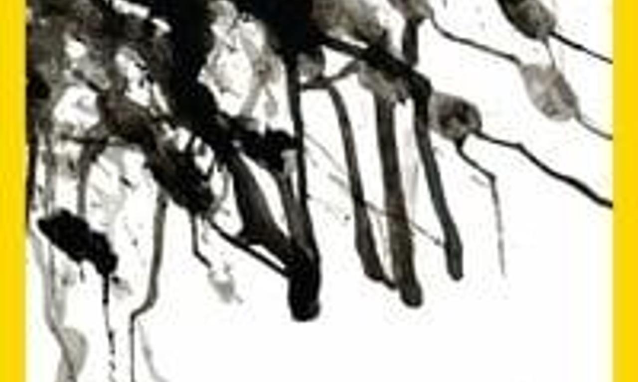 header image for Six Degrees Could Change The World