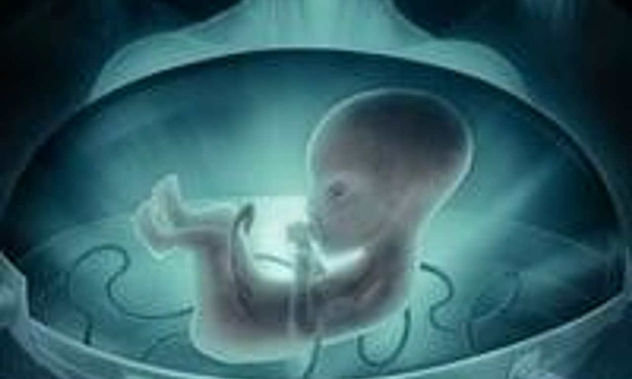 header image for Extraordinary: The Seeding