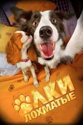 Shaggy Christmas Trees