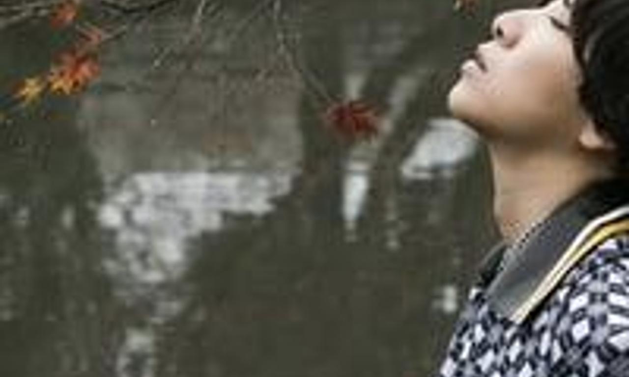 header image for Seed