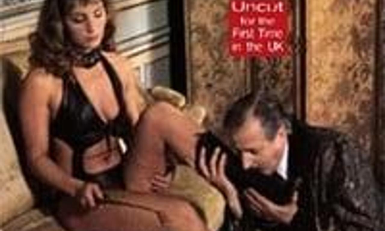 header image for Éducation anglaise