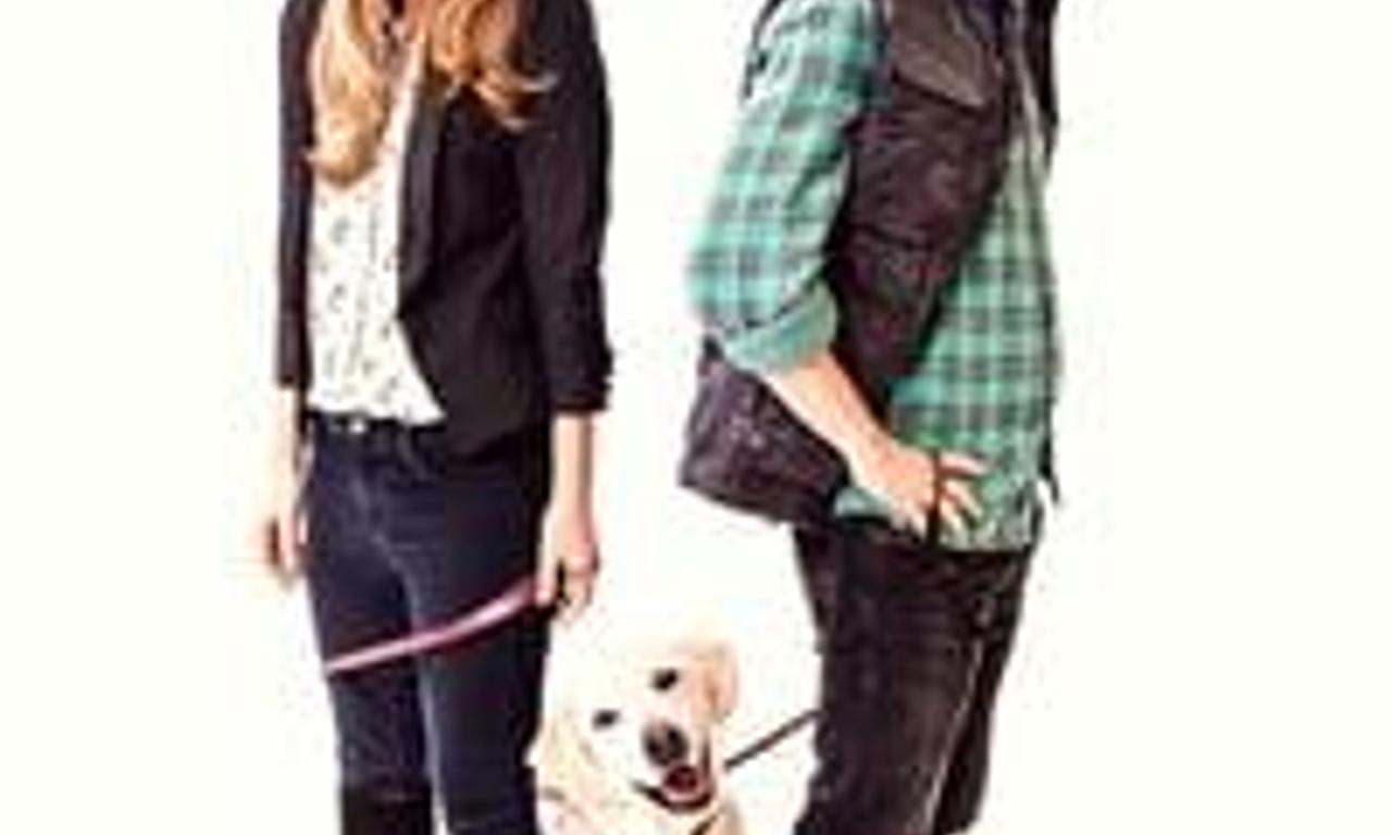 header image for Who Gets the Dog?