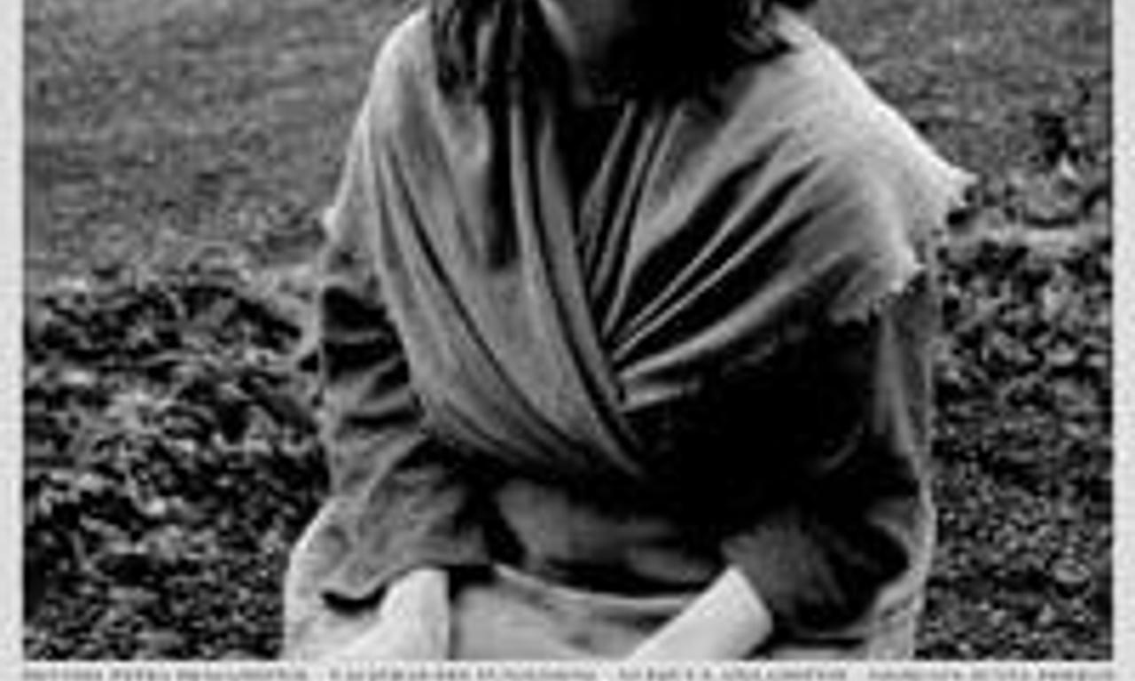 header image for The Juniper Tree