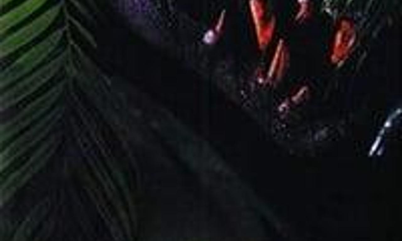 header image for DNA