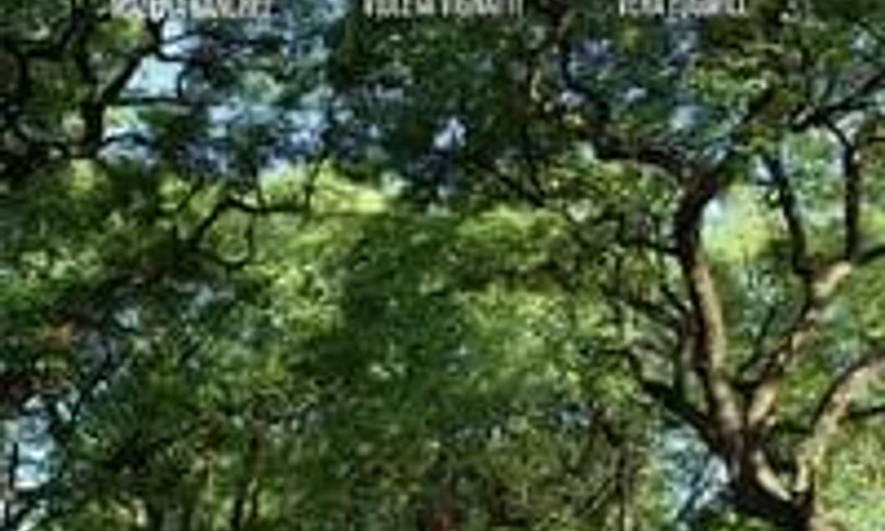 header image for El silencio