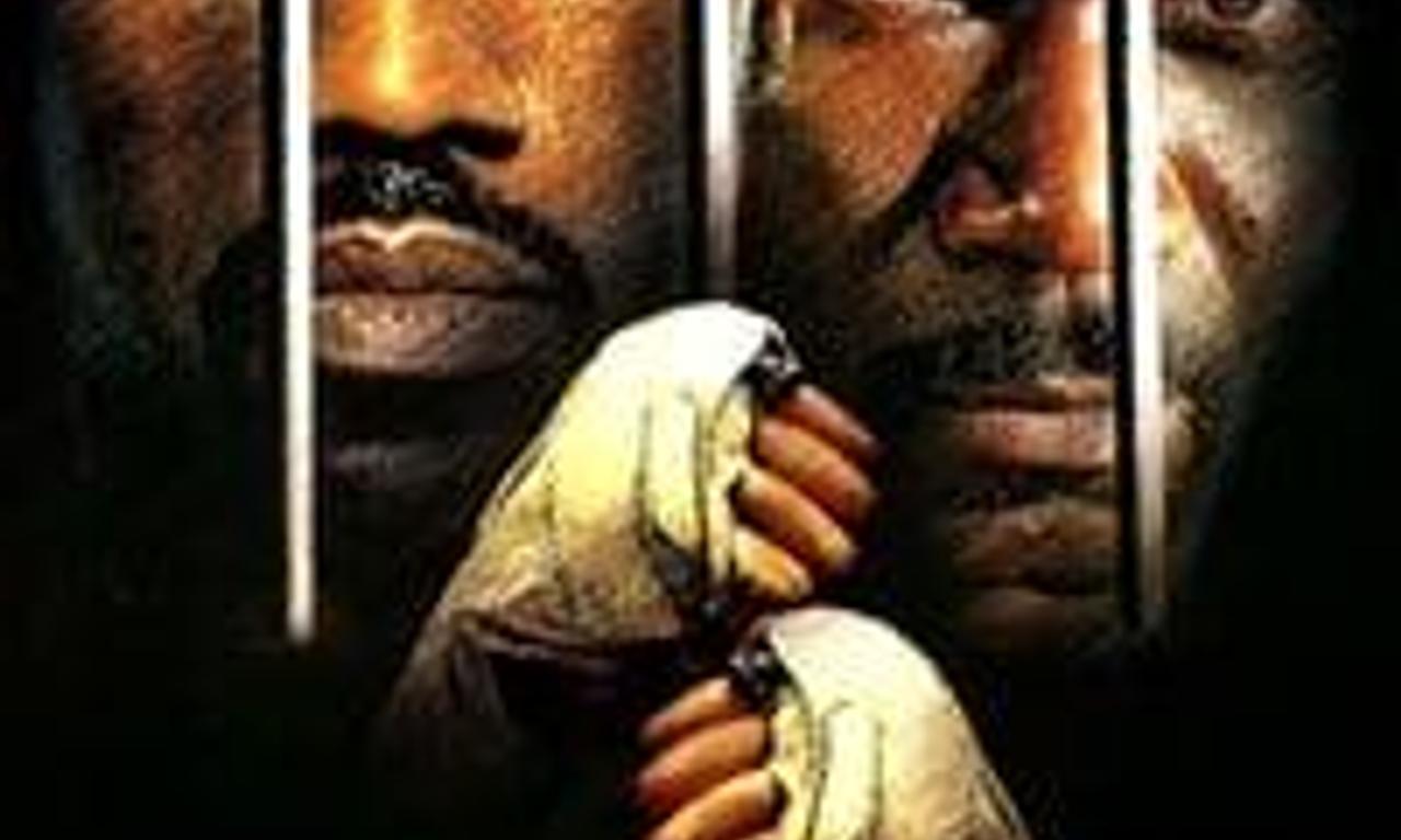 header image for Undisputed