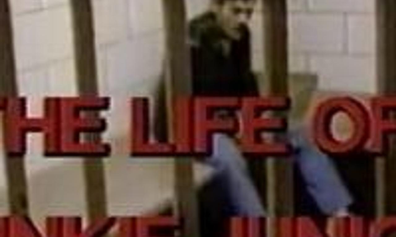 The Story of Junkie Junior Where to Watch and Stream Online Entertainment.ie