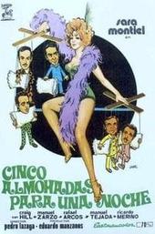 Cinco almohadas para una noche