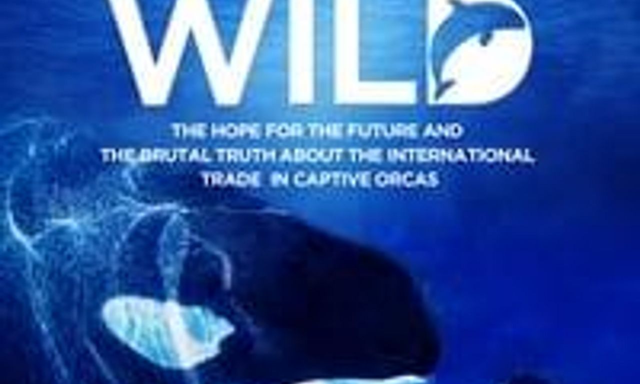 header image for Long Gone Wild