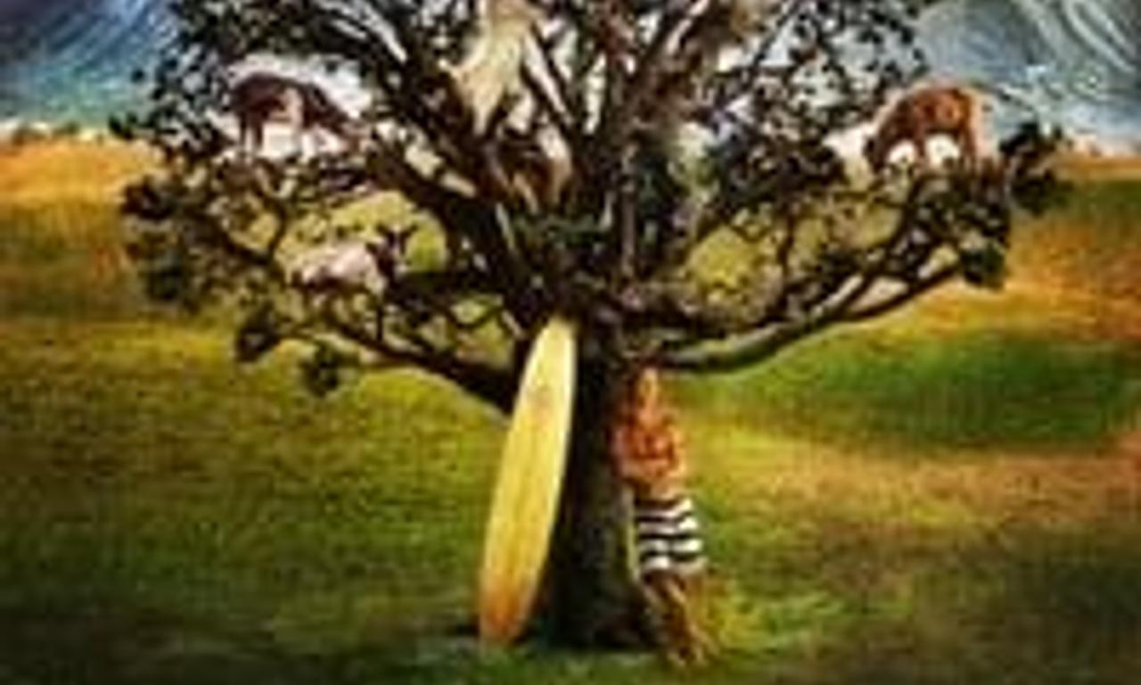 header image for Surfer, Dude