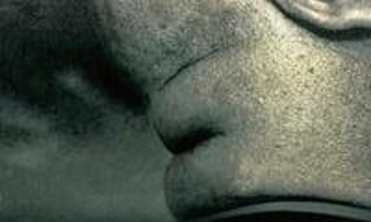 header image for A Very British Gangster