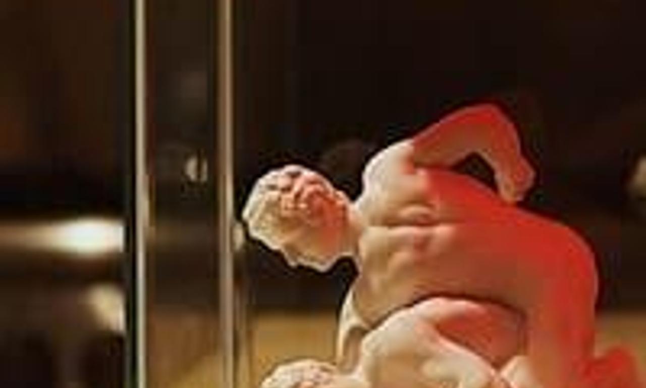 header image for Fish Tank