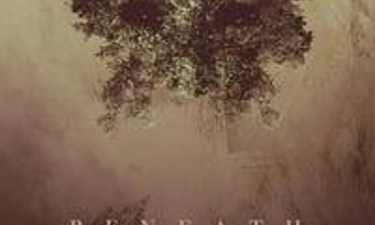 header image for Beneath the Trees