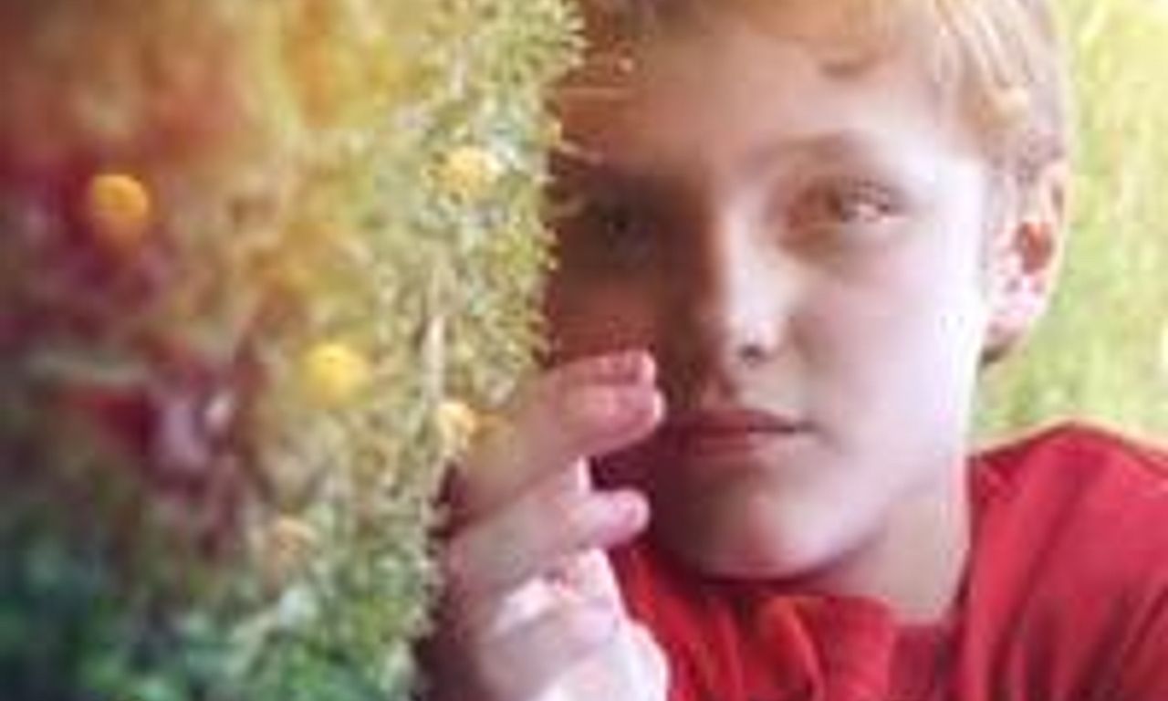 header image for Seeds