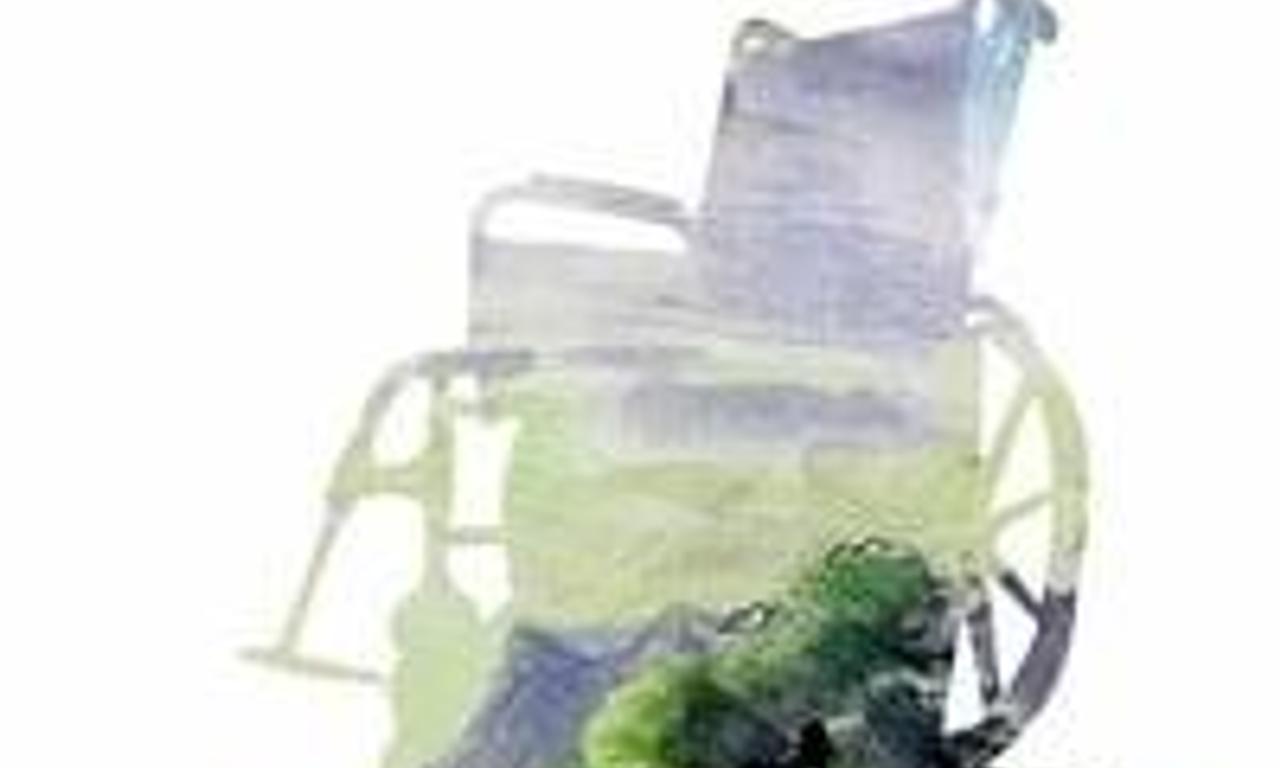 header image for Los desorientados