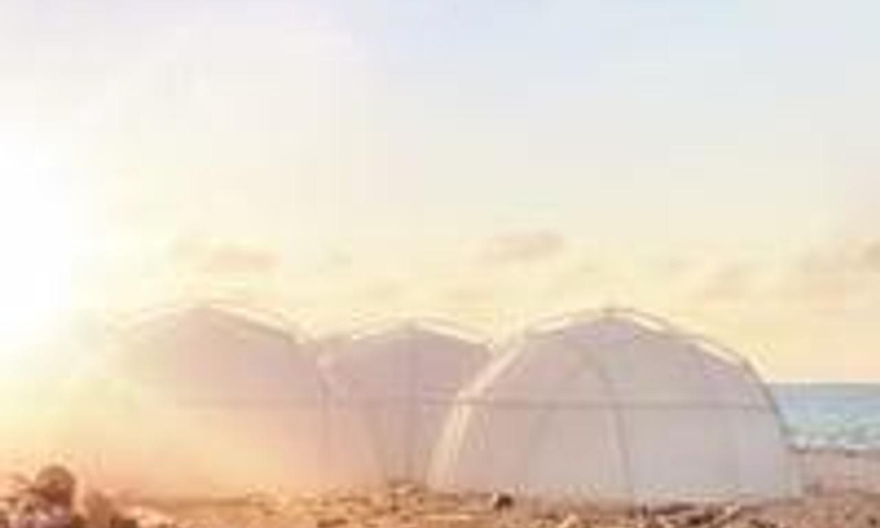 header image for Fyre