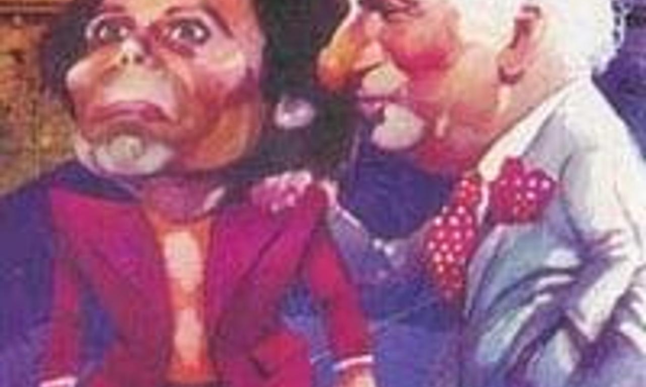 header image for The Witness Who Didn't See Anything